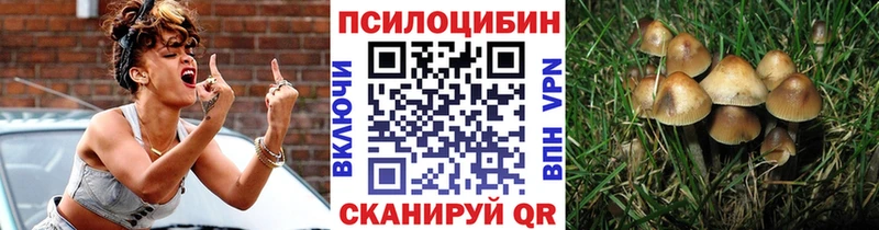 Псилоцибиновые грибы Magic Shrooms  MEGA как зайти  Котельниково 